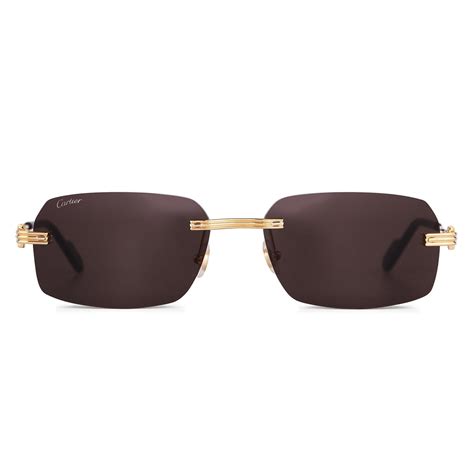 Cartier CT0271S Sunglasses 